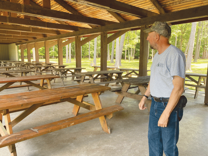 Mattson project delta innovation project report essay 02 image